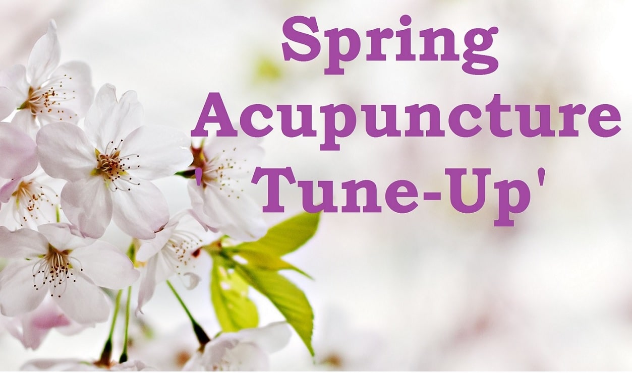 spring acupuncture near me