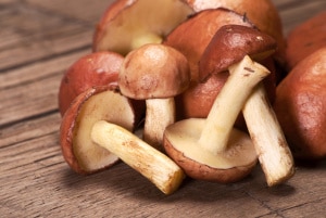 Mushrooms help boost immunity