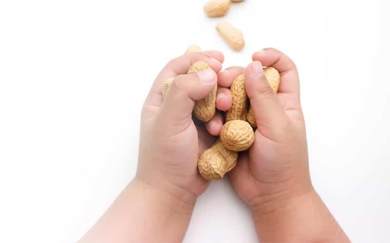Peanut Allergy Cure