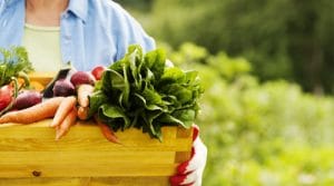 Toxins Harming Thyroid