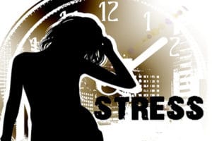 Stress Response 