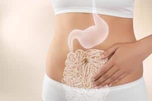 https://rosewellness.com/wp-content/uploads/2025/08/digestive-health.jpg