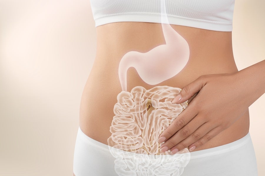 https://rosewellness.com/wp-content/uploads/2026/03/digestive-health.jpg
